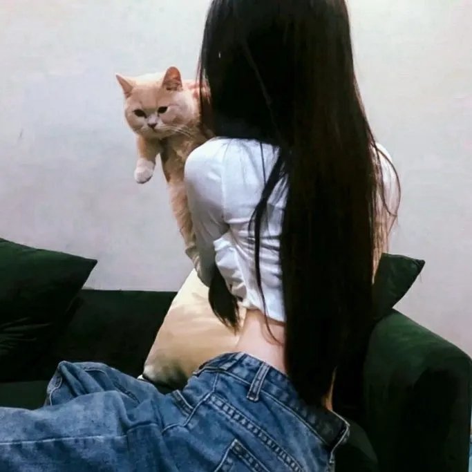 唐老鸭的青春之泉