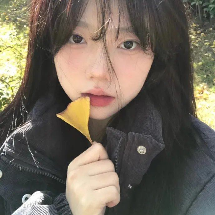 诗片